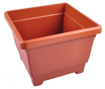 Image de Bac à fleurs terracotta Bac à fleurs Pot de fleurs