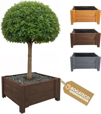 Produktbild von Gartentruhe aus Holz 50 x 50 x 30 cm Anthrazit - Für Garten, Terrasse und Balkon