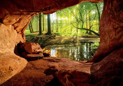 Produktbild von Vlies Fototapete 3D EFFEKT Wald Sonne (312x219 cm - 3 Bahnen) inkl. Kleister - Baum Landschaft Wohnzimmer Schlafzimmer Flur Vliestapete Wandtapete Modern Tapete Latexdruck UV-Beständig Montagefertig