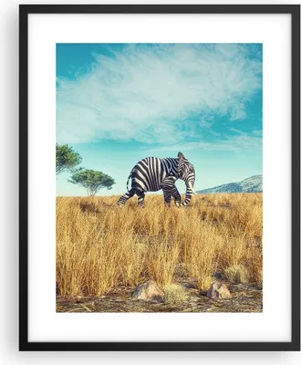 Produktbild von Gerahmtes Poster - Schwarzer Rahmen - Surreal Elefant Rippen - 40x50 cm - Wand Bild - Wanddeko - Wandbilder - Kunstposter - Wandposter - Bilderrahmen - Bilder - Kunstdruck - P2BPA40x50-4717