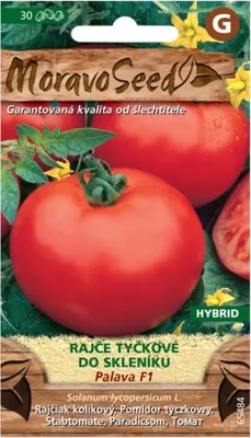 Zdjęcie produktu dla Pomidor PALAVA F1 - hybryda, szklarnia 65484