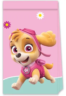 Produktbild von Geschenktüte Papier Paw Patrol Skye 4Stk.