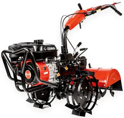 Image de Cedrus Glx640 Cultivateur 5.5Km / 62Cm Weima 170F/P Glx 640 - Ewimax -