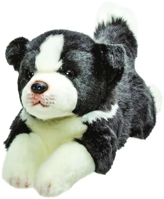 Produktbild von Suki 12090 Border Collie 30 cm Kuscheltier Kollektion Suki