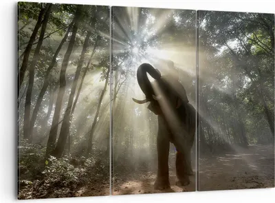 Produktbild von Bild auf Leinwand - Leinwandbild - Elefant Dschungel  - 105x70cm - Wand Bild - Wanddeko - Leinwanddruck - Bilder - Kunstdruck - Wanddekoration - Leinwand bilder - Wandkunst - CE105x70-3835