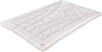 Produktbild von Paradies Übergangs Bettdecke 155x220 cm Dala Bio Premium Leichtigkeit und Volumen