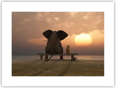 Produktbild von Poster - Poster ohne Rahmen - Elefant Ufer Meer - 40x30 cm - Wand Bild - Wanddeko - Wandbilder - Kunstposter - Wandposter - Bilder - Kunstdruck - Wanddekoration - Wandbild - P2XAA40x30-3555