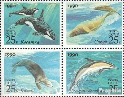 Produktbild von Briefmarken Sowjetunion 1990 Mi 6130-6133 Viererblock (kompl.Ausg.) postfrisch Meeressäugetiere