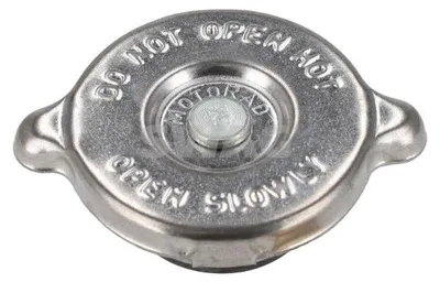 Produktbild von SWAG 10 99 0010 Verschlusskappe x