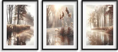 Produktbild von Boho-Waldposter für die Wohnzimmerwand. Morgengrassee-Poster 3x 50x70