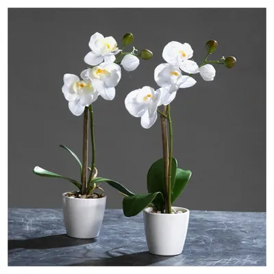 Produktbild von 6 Stück Orchidee-Phalaenopsis im Topf weiß 28 cm Kunstblume