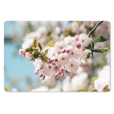 Produktbild von MuchoWow® Schreibtischunterlage Blumen - Blüte - Frühling 60x40 cm - XXL Mauspad - Großes Mauspad