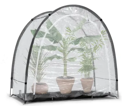Produktbild von BioGreen Überwinterungszelt Arctic in Anthrazit L 186 x B 84 x H 175 cm