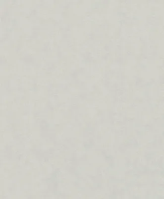 Produktbild von Vliestapete 32401 Dune Uni grau