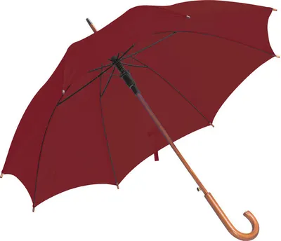 Produktbild von Automatik-Regenschirm / Farbe: bordeaux