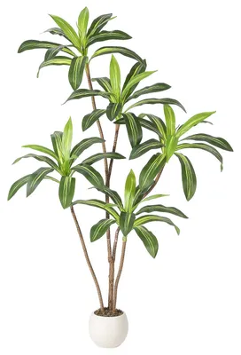 Image de Dracaena/Yucca artificiel - Plante de sol en pot - 120 cm - Pour l'intérieur - Matériau PE - 1 pièce - Vert