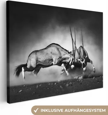 Produktbild von MuchoWow® - Leinwandbilder - Antilope - Schwarz und weiß - Porträt - Wildtiere - Tiere, Wandbild, Wanddeko Bilder Wohnzimmer, 40x30 cm