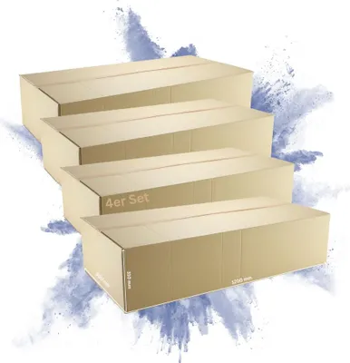 Produktbild von 4x Versandkarton 2-wellig | LxBxH 1200 x 600 x 310 mm | Belastbar bis 30 kg | Braun