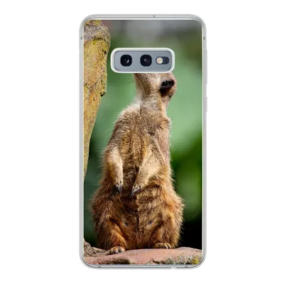 Produktbild von MuchoWow® Handyhülle Schutzhülle Hülle für Samsung Galaxy S10e Erdmännchen - Tier - Rock Silikon Softcase Handy Hülle - Handy