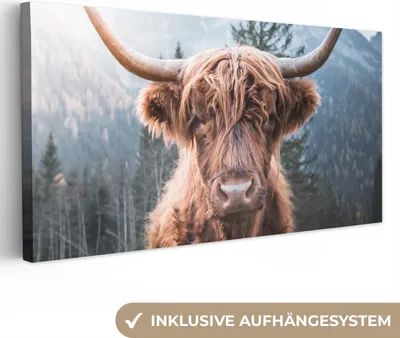 Obrázek produktu pro OneMillionCanvasses® - Plátno - Skotský horal - Kráva - Zvířata - Hora - Příroda, nástěnná malba, nástěnné dekorace obrázky do obývacího pokoje, 40x20cm