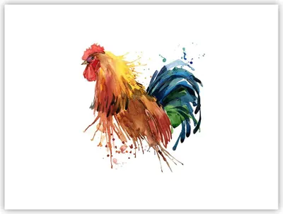 Produktbild von Poster - Poster ohne Rahmen - Hahn Ilustration Tier Farben - 40x30 cm - Wand Bild - Wanddeko - Wandbilder - Kunstposter - Wandposter - Bilder - Kunstdruck - Wanddekoration - Wandbild - P2XAA40x30-2842