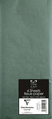 Produktbild von Clairefontaine 12x Seide Packung 6 Blatt 50x70 grün - Empiregrün 6663-DGC