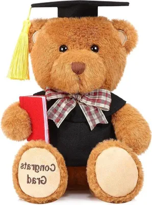 Image de Ours noir de fin d'études : décoration pour la table et l'école