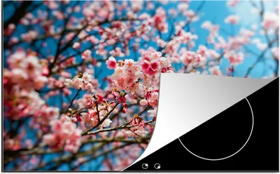 Produktbild von KitchenYeah© Herdabdeckplatte Frühling - Sakura - Rosa , 78x52cm, Küche Deko, Glaskeramikkochfeld Herdabdeckung, Abdeckplatte fùr Kochfeld