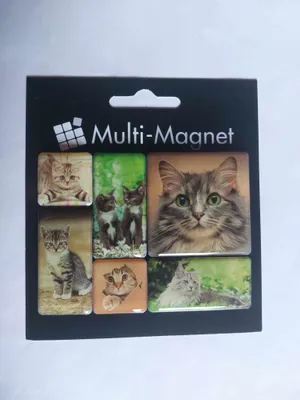 Produktbild von 1 Set Magnete: Katzen, 6 Stück, Magnet Tiere Kühlschrankmagnete Tier Katze