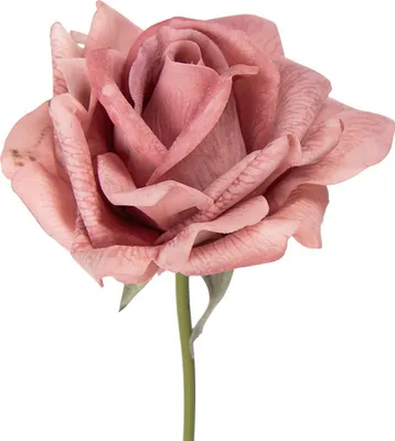 Produktbild von Clayre & Eef Kunstblume Rose 35 cm Rosa Kunststoff