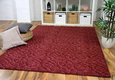 Produktbild von Konturenschnitt Hochflor Langflor Teppich Frieda Rot, Größe:80x320 cm