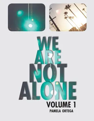 Produktbild von We Are Not Alone