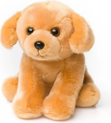 Immagine prodotto di Peluche Labrador (15 cm) cane realistico peluche giocattolo morbido