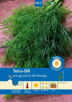 Artikelbild 1 von 'Tetra-Dill Dichtlaubiger' aus der Kategorie Dillsamen