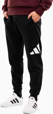 Zdjęcie produktu dla Spodnie Adidas Essentials Big Logo French Terry IN6163