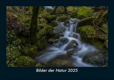 Produktbild von Bilder der Natur 2025 Fotokalender DIN A5