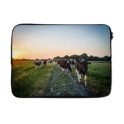 Produktbild von MuchoWow® Laptop Hülle 14 ZollKühe - Sonne - Straße Laptoptasche - Laptoptasche - Stoßsicher - Schutzhaube