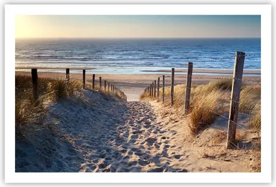 Produktbild von Poster - Poster ohne Rahmen - Meer Strand Düne - 91,5x61 cm - Wand Bild - Wanddeko - Wandbilder - Kunstposter - Wandposter - Bilder - Kunstdruck - Wanddekoration - Wandbild - P2XAA91x61-3612