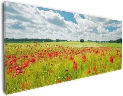 Produktbild von Wallario Premium Leinwandbild Grüne Wiese mit Mohnblumen in Größe 30 x 75 cm