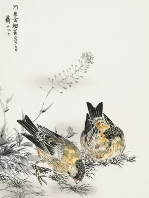 Zdjęcie produktu dla Plakat 30x40cm Greenfinch, Kashu Japoński Vintage do Salonu