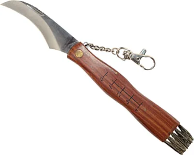 Produktbild von Pilzmesser mit Bürste und Lineal Klappmesser Geschärft Holzgriff Hochwertiger Stahl 21cm