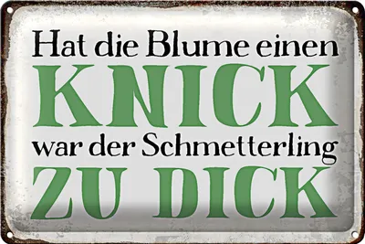 Produktbild von Blechschild Spruch 30x20cm Blume Knick Schmetterling dick