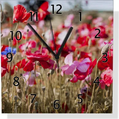 Produktbild von Wallario Design Wanduhr Mohnblumen am Rande eines Feldes aus Aluverbund, Größe 30 x 30 cm