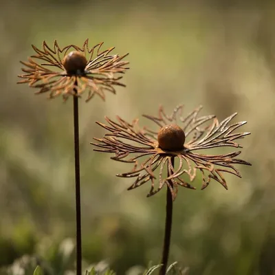 Imagen del producto de Juego de 2 elementos decorativos para jardín, fabricados en acero corten, resistentes a la intemperie, ideales para balcones y terrazas