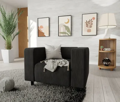 A modern living room with a single black armchair on a grey rug, next to a wooden shelving unit and a tall potted plant.