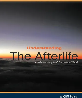 Produktbild von Understanding the Afterlife