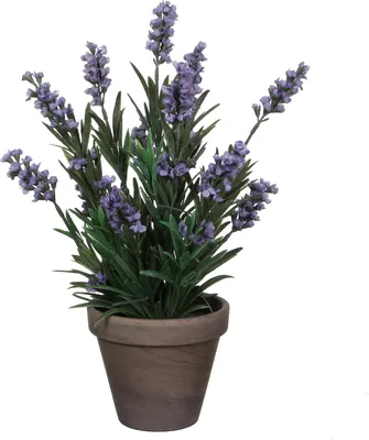 Obrázek produktu pro Mica Decorations Umělá rostlina Levandule v květináči Stan - V33 x Ø20 cm - modrá
