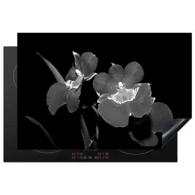Produktbild von KitchenYeah© Herdabdeckplatte Orchideen vor schwarzem Hintergrund - schwarz und weiß , 78x52cm, Küche Deko, Glaskeramikkochfeld Herdabdeckung, Abdeckplatte fùr Kochfeld