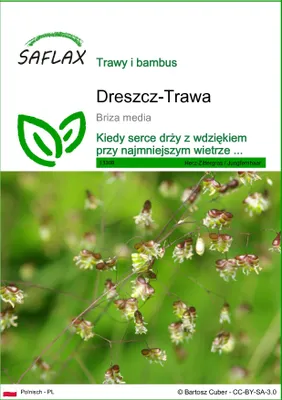 Zdjęcie produktu dla SAFLAX - Dreszcz-Trawa - 75 Nasiona - Briza media