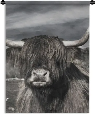 Produktbild von MuchoWow® Wandteppich Wandbehang Schottischer Highlander - Tiere - Hörner 60x80 cm Tapisserie Dekoration Wandtuch - Decke - Wandtücher - Wohne